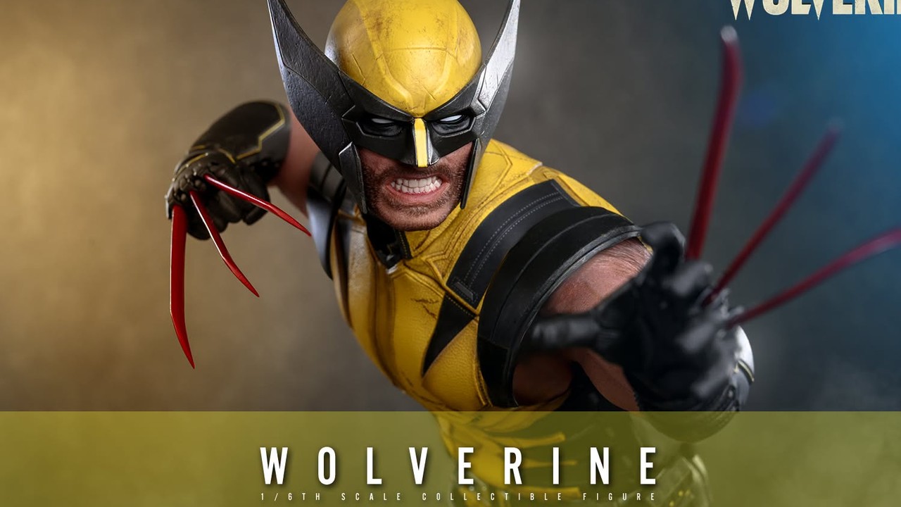 Hot Toys Wolverine still wants day-eight display